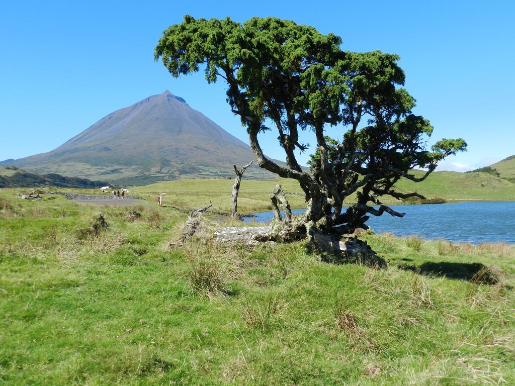 Calheta de NesquimAdega Pedra Do Lagar别墅 外观 照片